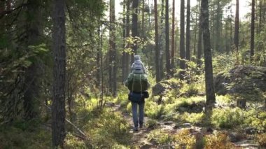 Babası ve küçük çocuğu yazın doğa yürüyüşü yapıyor. Bir adam ve bir çocuk Finlandiya 'da bir sırt çantasıyla ormanda yürüyüşe giderler. Oğlu babasının omuzlarında oturuyor. Arka plan
