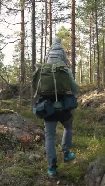 夏の自然の中で屋外でハイキングする小さな子供と父親 男と男の子がフィンランドのバックパックで森でハイキングをする 父親の肩に座っている息子 バックビュー — ストック動画