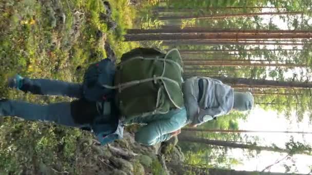 Vater Mit Kleinem Kind Wandert Sommer Draußen Der Natur Ein — Stockvideo