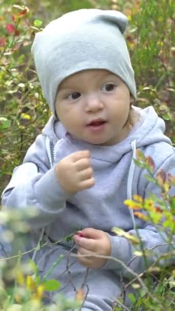 Roztomilý Malý Chlapec Sbírá Borůvky Lese Letní Den Finsku — Stock video