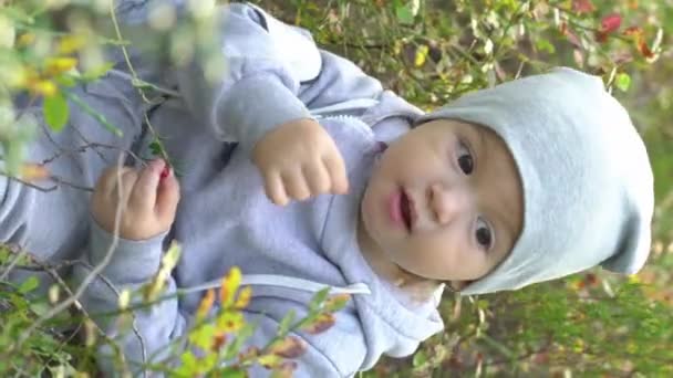 Adorable Petit Garçon Cueillant Des Bleuets Dans Forêt Jour Été — Video