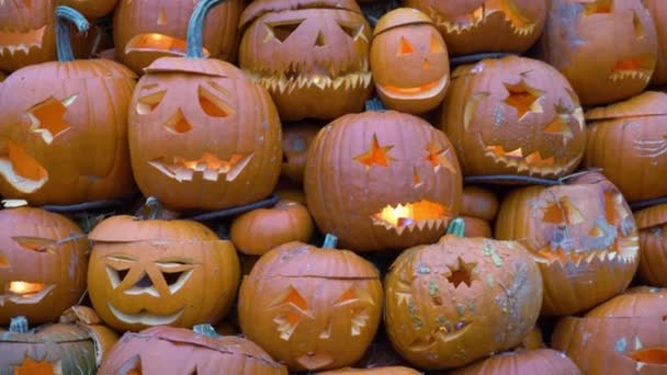 Montón Calabazas Linterna Halloween Cabezas Miedo Caras Espeluznantes Oscuridad — Vídeo de stock