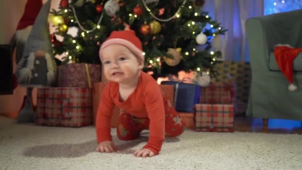Boldog Kisfiú Piros Sapkában Mászkál Padlón Egy Karácsonyfa Hátterében Szenteste — Stock videók