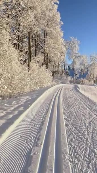 Běh Lyžích Krásného Slunečného Mrazivého Dne Finsku Pohled První Osoby — Stock video