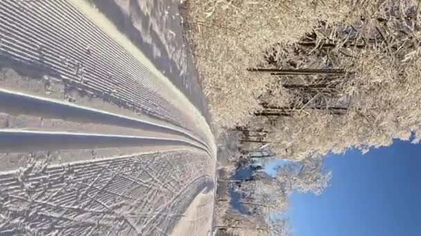 Крос Кантрі Катання Красивому Сонячно Морозному Дні Фінляндії Вид Лижної — стокове відео