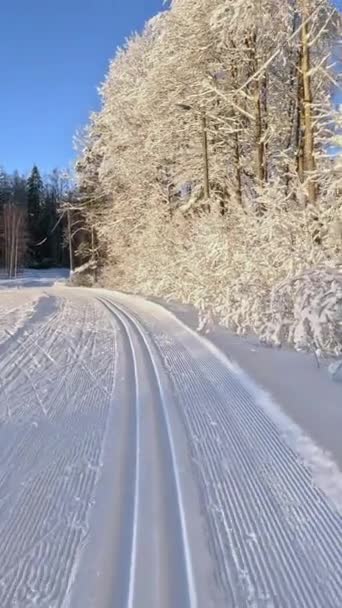 フィンランドの美しい晴れた霜の日にクロスカントリースキー スキートレイルのファーストパーソンビュー — ストック動画