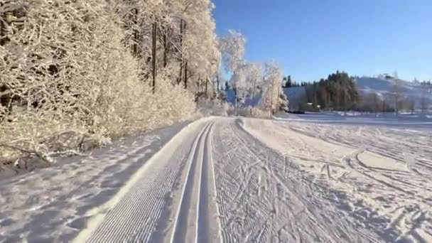 Längdskidåkning Vacker Solig Frostdag Finland Förstapersonsvy Över Skidspåret — Stockvideo