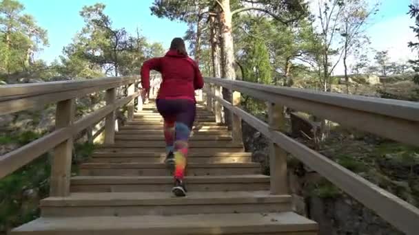 在芬兰的一个自然公园里 一位中年运动女子跑上了健身梯 — 图库视频影像