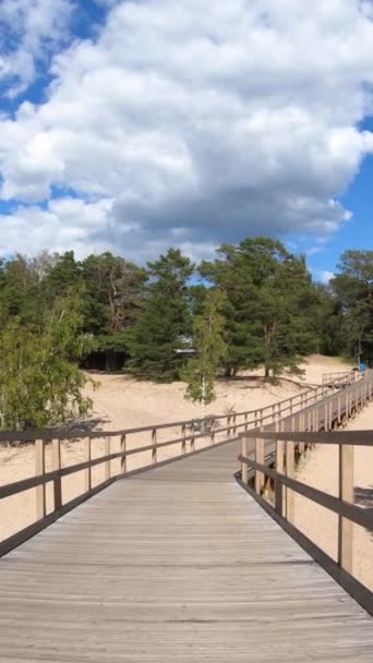 芬兰Pori附近的Yyteri海滩上 一条穿过沙丘的木制生态小径 — 图库视频影像