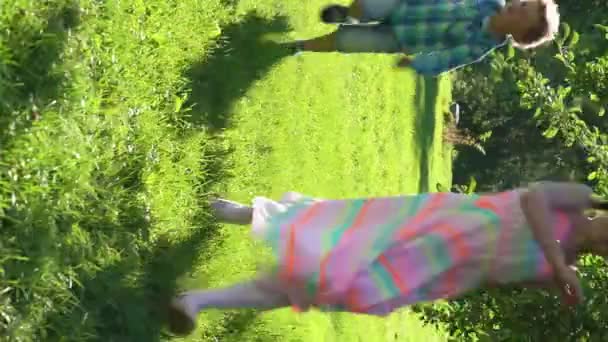Deux Enfants Garçon Fille Ayant Pâques Oeuf Chasse Dans Jardin — Video