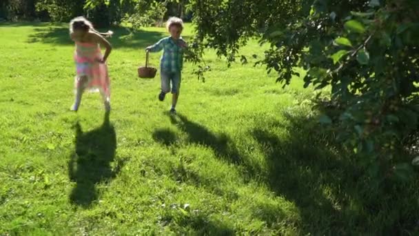 Two Children Boy Girl Having Easter Egg Hunt Garden Backyard — Stock Video