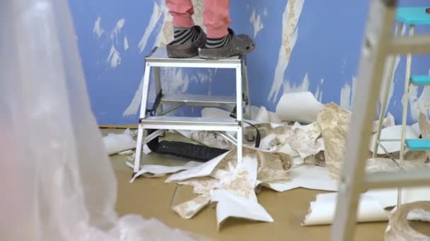 Mladá Žena Opatrně Odstraňuje Stěn Staré Tapety Připravuje Plochou Renovaci — Stock video