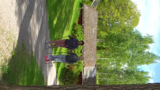 北欧の歩いているすべての年齢のための野外活動 公園で つのアクティブな女性 トラッキング ショット — ストック動画