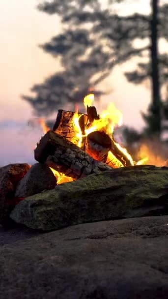 Feu Joie Brûlant Dans Une Forêt Bord Lac Minuit Solstice — Video
