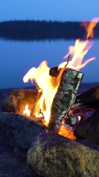 夏の冬至の真夜中に湖の岸の森の中でたき火を燃焼 フィンランドの真夏の日の前夜に夏の白い夜 キャンプファイヤーと野生動物の音鳥の歌 — ストック動画