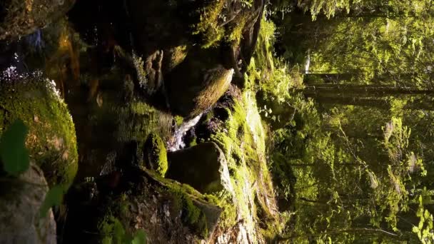 Small Crystal Water Cascading Creek National Park Finland Sounds Nature — Stock Video