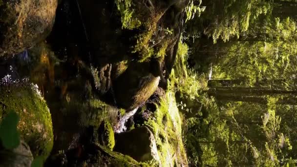 Malý Křišťálový Vodopád Potoka Národním Parku Finsku Zvukem Přírody Zpěvem — Stock video