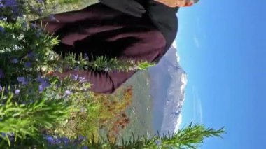 Biberiye Alpleri'nde toplama. Yaprak ve çiçek Bahçe makası ile İtalya ' nın kuzeyinde dağlarda biberiye İtalyan adam keser.