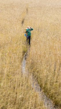 Bir orta yaşlı adam bir sırt çantası ile reed yataklar ile bir su yolu boyunca bir gölde, kuşlar dürbün ile sonbaharda Finlandiya'da izlerken girer