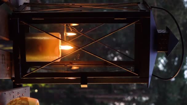 Laterne Mit Kerze Abendlichen Sommerwald Kiefern Dunklen Hintergrund Senkrecht Mit — Stockvideo