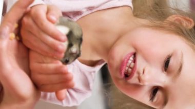 Küçük bir kız ve annesi küçük bir hamster ile oynuyorlar. Eğitim, evcil hayvan bakımı