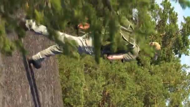 Homme Mûr Avec Équipement Randonnée Marchant Dans Forêt Montagne Finlande Séquence Vidéo Libre De Droits
