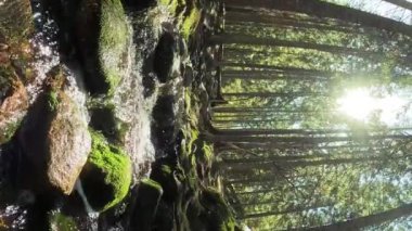 Finlandiya Nuuksio Ulusal Parkı 'nda küçük bir kristal su çağlayan dere. Ormanda güneşli bir yaz günü. Kayalarda akan güzel kaynak suyu. Doğanın sesleriyle, kuşların cıvıltılarıyla,