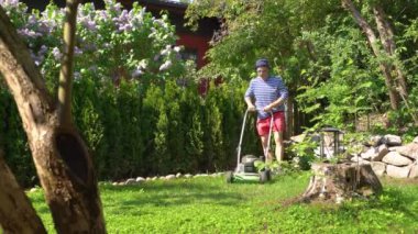 Orta yaşlı bir adam bahçesinde çim biçme makinesiyle fazla büyümüş yeşil çimenleri buduyor. Şortlu erkek bahçıvan bahçe düzenlerken çim biçme makinesi kullanıyor. Mevsimlik iş kavramı.