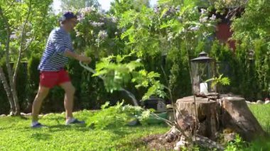 Orta yaşlı bir adam bahçesinde çim biçme makinesiyle fazla büyümüş yeşil çimenleri buduyor. Şortlu erkek bahçıvan bahçe düzenlerken çim biçme makinesi kullanıyor. Mevsimlik iş kavramı.