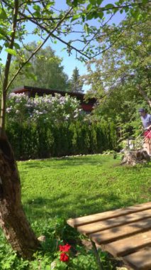 Orta yaşlı bir adam bahçesinde çim biçme makinesiyle fazla büyümüş yeşil çimenleri buduyor. Şortlu erkek bahçıvan bahçe düzenlerken çim biçme makinesi kullanıyor. Mevsimlik iş kavramı.