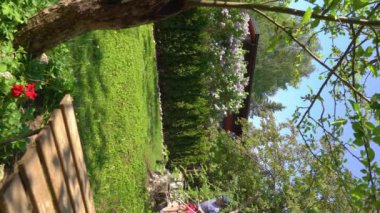 Orta yaşlı bir adam bahçesinde çim biçme makinesiyle fazla büyümüş yeşil çimenleri buduyor. Şortlu erkek bahçıvan bahçe düzenlerken çim biçme makinesi kullanıyor. Mevsimlik iş kavramı.