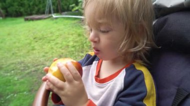Genç çocuk bahçede bebek arabasında oturmuş taze meyvenin tadını çıkarıyor.