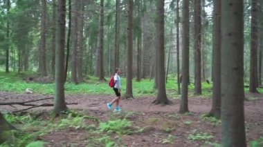 Finlandiya 'da ulusal parkta sırt çantalı genç bir gezgin. Doğa yürüyüşü, dinlenme ve spor. Güzel kuzey ormanlarında macera