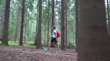 Finlandiya 'da ulusal parkta sırt çantalı genç bir gezgin. Doğa yürüyüşü, dinlenme ve spor. Güzel kuzey ormanlarında macera