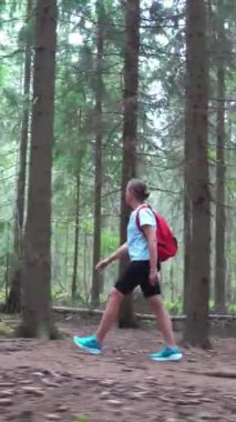 Finlandiya 'da ulusal parkta sırt çantalı genç bir gezgin. Doğa yürüyüşü, dinlenme ve spor. Güzel kuzey ormanlarında macera