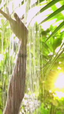 Yeşilliklerle çevrili açık havada duş alan bir kadın. Rahatlama ve doğayla bağlantı. Canlı yeşil yapraklar ve yaprakların arasından süzülen güneş ışığı. Organik cilt bakımı, lüks