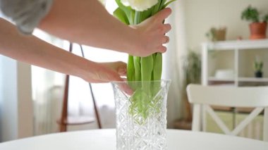 Bir kadının eli, parlak bir evin içindeki masanın üstündeki cam vazoda bir buket taze lale düzenliyor. Sıcak bir atmosfer için bahar dekorasyonu ve çiçek düzenlemesi.