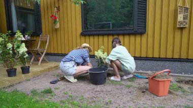 Bir anne ve kız baharda bahçelerine ortanca dikip yaz mevsimine hazırlanıyorlar. Eldiven takan anne, bitkiyi dikkatlice toprağa yerleştirir.