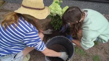 Bir anne ve kız baharda bahçelerine ortanca dikip yaz mevsimine hazırlanıyorlar..