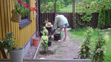 Bir anne ve kız baharda bahçelerine ortanca dikip yaz mevsimine hazırlanıyorlar..