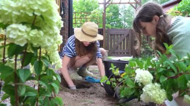 Bir anne ve kız baharda bahçelerine ortanca dikip yaz mevsimine hazırlanıyorlar..