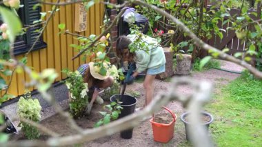 Bir anne ve kız baharda bahçelerine ortanca dikip yaz mevsimine hazırlanıyorlar..