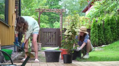 Bir anne ve kız baharda bahçelerine ortanca dikip yaz mevsimine hazırlanıyorlar..