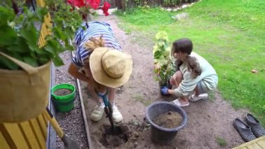 Bir anne ve kız baharda bahçelerine ortanca dikip yaz mevsimine hazırlanıyorlar..