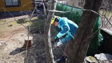 Güçlü, kendine güvenen bir kadın elektrikli testere kullanıyor. Bahar temizliği ve bahçe yenilenmesi için yaşlı bir ağacı kesiyor. Koruyucu giysiler içinde, cinsiyet normlarına meydan okuyor.