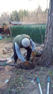 Bir adam kürek ve el aletleri kullanarak eski bir ağacı ve bahçedeki kökleri söküyor. Erken bahar temizleme çalışmaları bir ağaç gövdesi yakınında, dağınık aletler ve ortaya çıkan bitkiler ile.