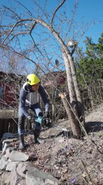 Adam güneşli bir bahar gününde arka bahçede elektrikli testereyle yaşlı ağaçları kesiyor. Kask ve kulak koruyucusu takıyor. Açık hava işleri, bahçe bakımı ve ağaç kaldırma..