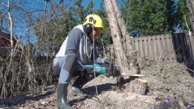 Adam güneşli bir bahar gününde arka bahçede elektrikli testereyle yaşlı ağaçları kesiyor. Kask ve kulak koruyucusu takıyor. Açık hava işleri, bahçe bakımı ve ağaç kaldırma..