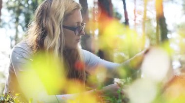 Güneşli bir ormanda yabani böğürtlen arayan genç bir kadın. Çevre yaşam tarzı, sürdürülebilirlik, sağlıklı beslenme, farkındalık ve yaz sonu doğayla bağlantı kavramı.