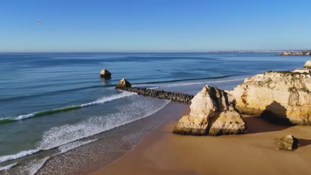 Lentäminen Kallioiden Kallioiden Yli Praia Rochalla Portimaon Päärannalla Portugalissa — kuvapankkivideo
